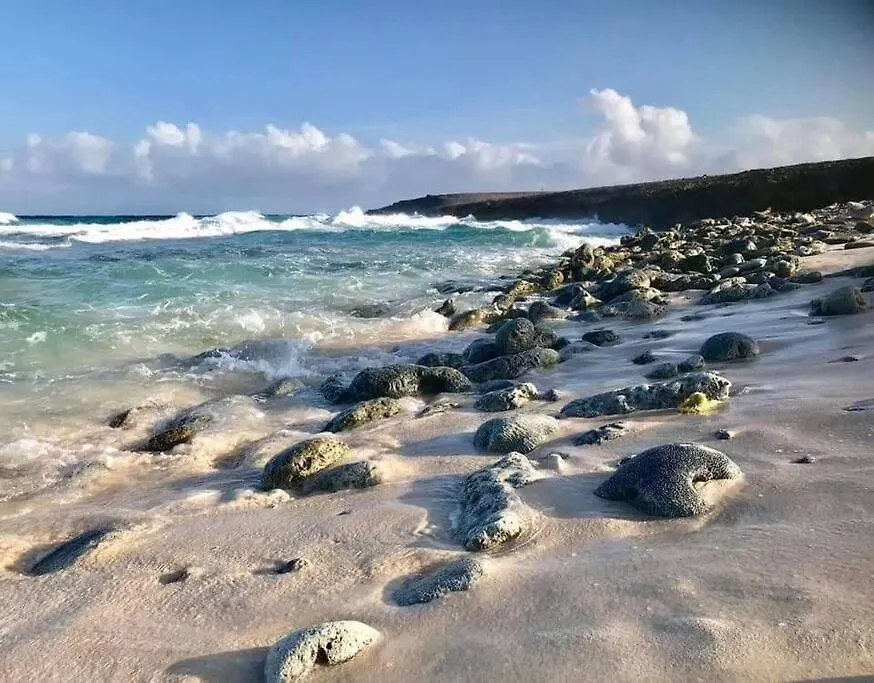 Aparthotel Aruba Condo The Pearl - At Eagle Beach - Minute Walk! Palm Beach Aruba